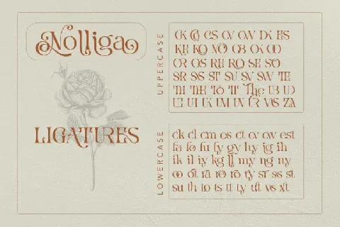 Nolliga font