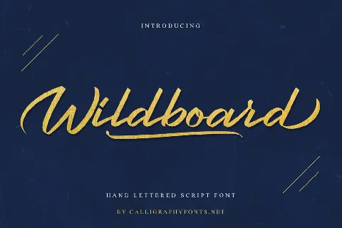 Wildboard Demo font