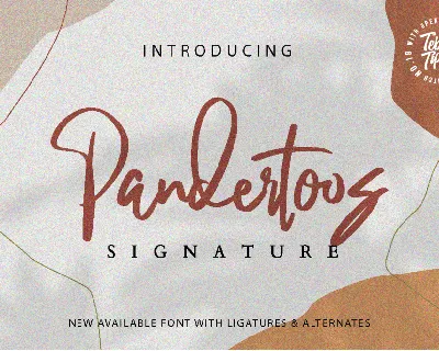 Pandertoos Signature font