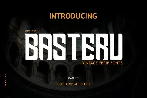 Basteru Vintage Serif font