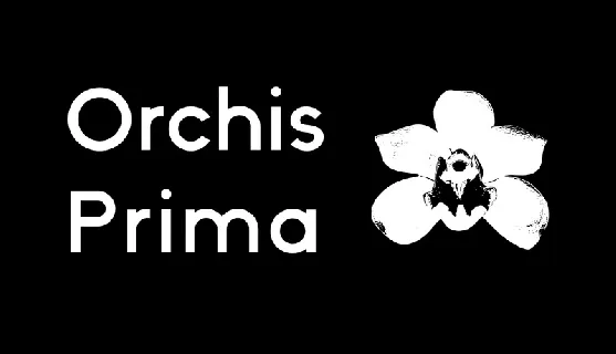 Orchis Prima Family font