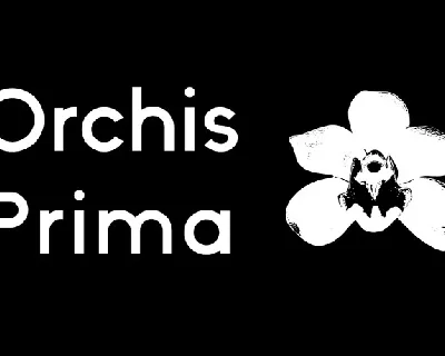 Orchis Prima Family font