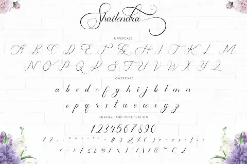 Shailendra font