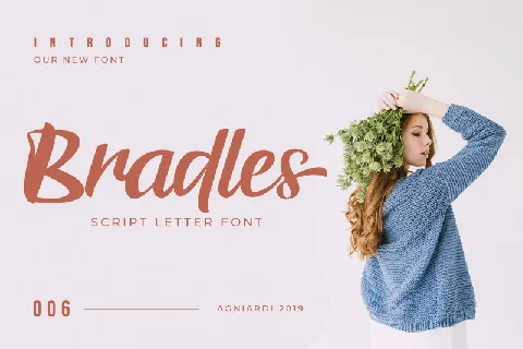 Bradles Script font