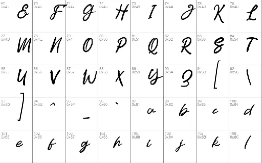 Signature Typeface font