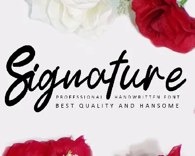 Signature Typeface font