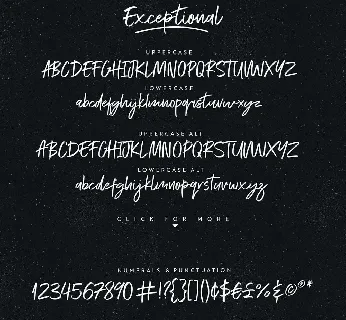 Exceptional font