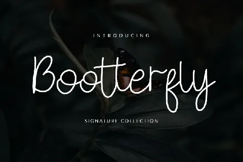 Bootterfly font