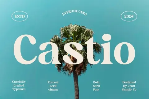 Castio font