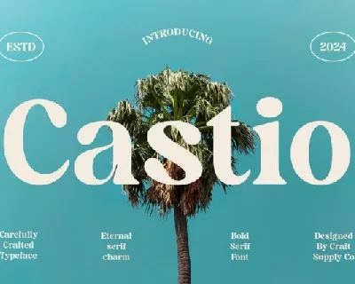 Castio font