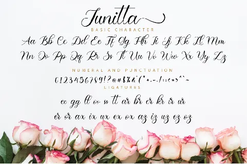 Junitta font