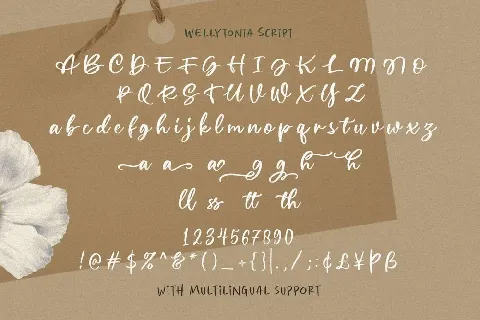 Wellytonia Package font