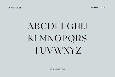 Kinematical font