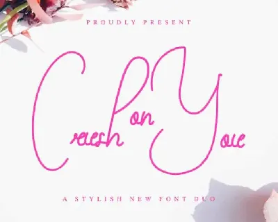 Crush On You Script Duo font