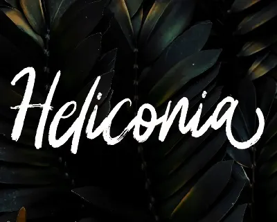 Heliconia font