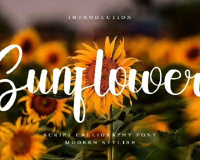 Sunflower font