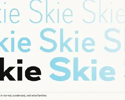 Skie Family font
