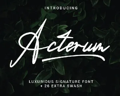 Acterum font
