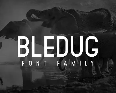 Bledug Family font