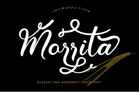 Morrita font