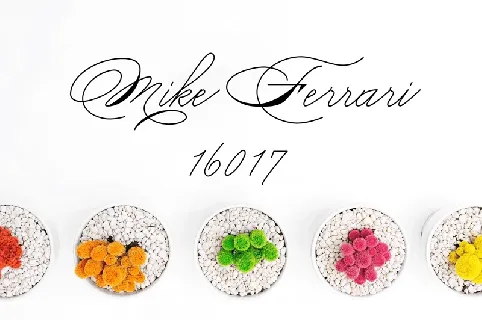 Mike Ferrari 16017 Free font