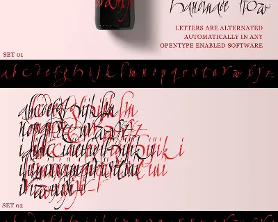 Calligraphunk font