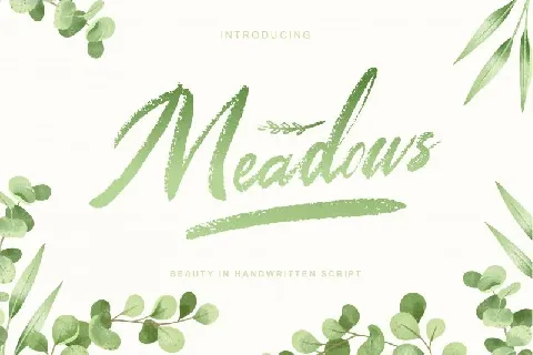 Meadows Script font