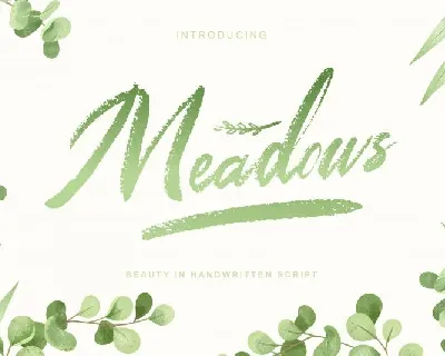 Meadows Script font