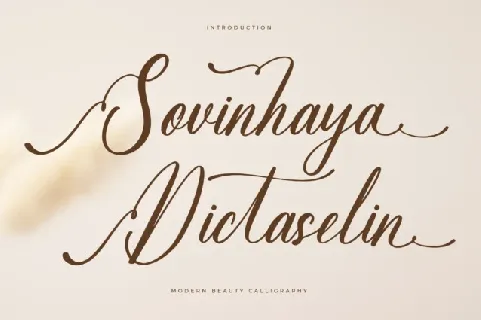 Sovinhaya Dictaselin font