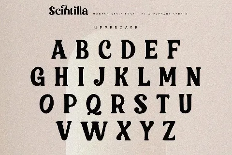 Scintilla font