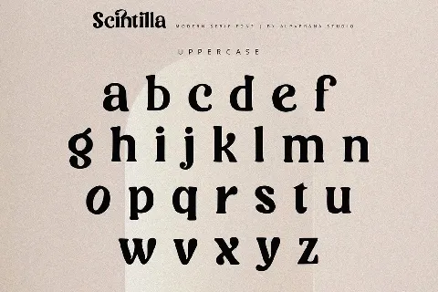 Scintilla font