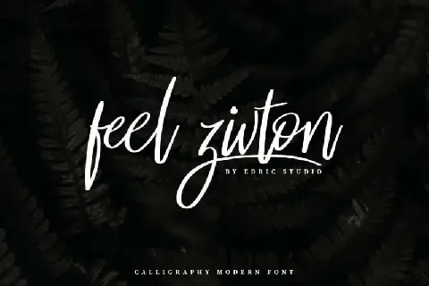 Feel Zivton Calligraphy Modern font