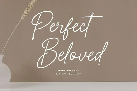 Perfect Beloved font