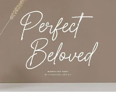 Perfect Beloved font
