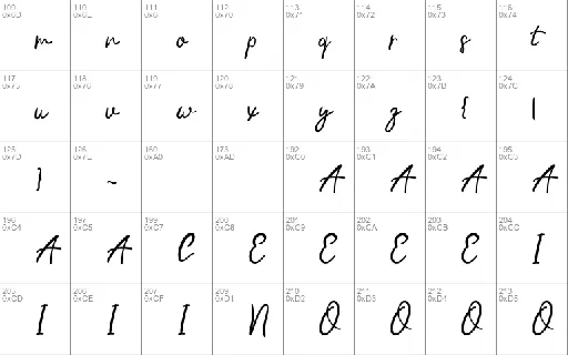 Handwriting Script Typeface font