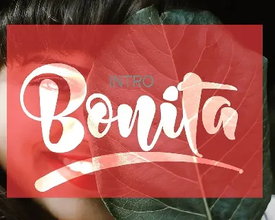 Bonita Bold Script font