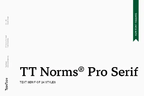 TT NormsÂ® Pro Serif font