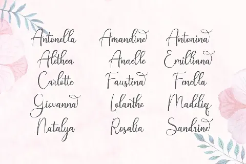 Andina Script font