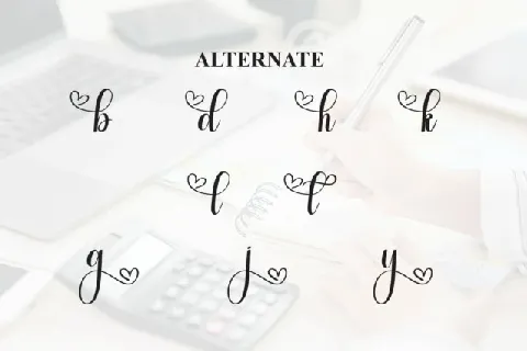 Budget Calligraphy font