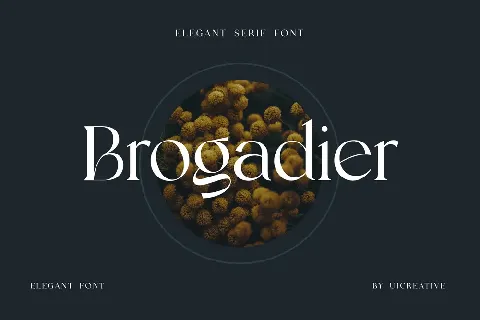 Brogadier font