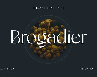 Brogadier font