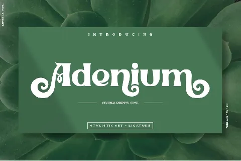 Adenium font