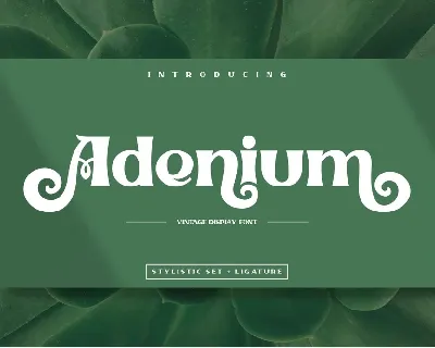 Adenium font