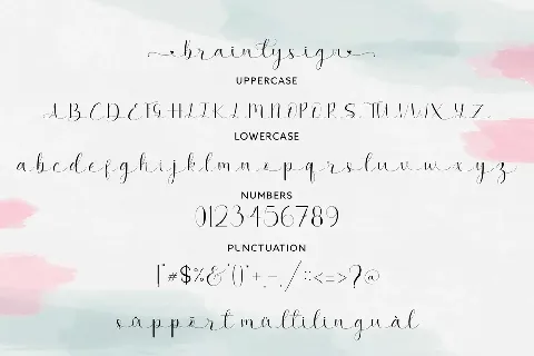 Brainlysign font