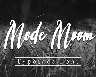 Mode Moom font