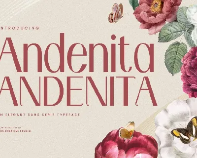 Andenita Personal Use font