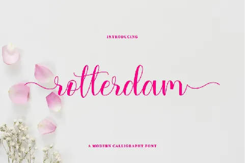 rotterdam font