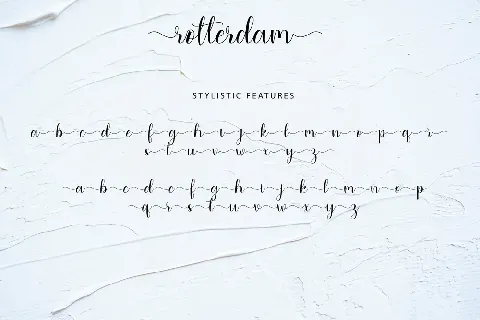 rotterdam font