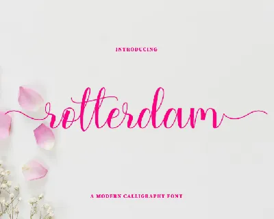 rotterdam font