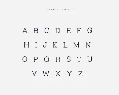 Virtuous Slab Typeface font